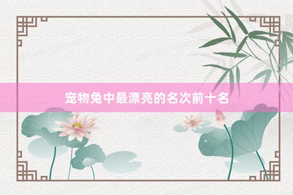 宠物兔中最漂亮的名次前十名